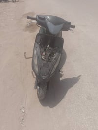 ماكس ثعلب • زنجيل سنتر • تعبان