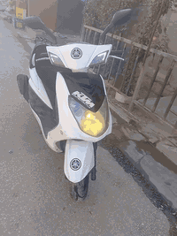 السلام عليكم 
دراجة سكنس فحل للبيع
موديل ٢٠٠٧
المكينة خير من الله
نظام كابريتر
الكهربائيات كلها شغاله
سلف + هندر كله شغال
لايت عالي وناصي  وسويجين 
صالنصة رياضية
تخم تاير نظيف
كفرات أصليه رقم واحد
السعر ب٨٠٠ ألف وبيها مجال بسيط
العنوان بغداد/ الدورة 
متوفر خاص وواتساب ***********
