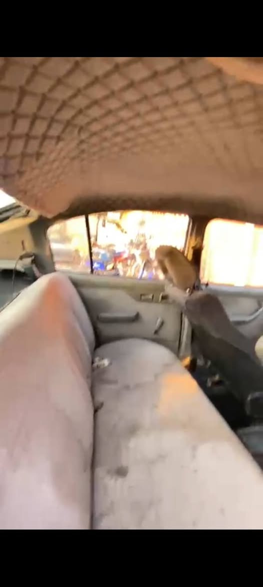 اميكا كاديت رقم الماني شرط اتحويل  كير عادي محرك 16 للاستفسار الاتصال على الرقم
***********
