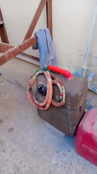 توهاستو ياباني • بصره قرنه • للبيع