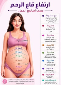 قياس قاع الرحم • متابعة حمل • سومر