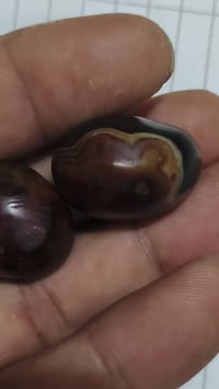 داوديات • قديمات • توصيل بابل