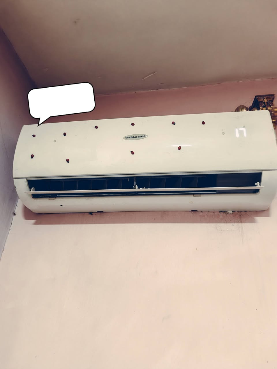 سلام عليكم سبلت البيع واحد طن ستخدام موسم مكاني بغداد المدائن سلمان باك *********** سعره ٢٥٠ نظيف حيل
