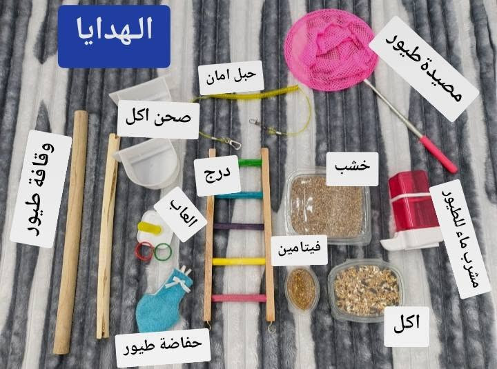 للبيع قفص جديد يرهم لجميع انواع الطيور قفص مرتب فول ويجي وياه هدايا ملحقات للقفص والسعر مع الملحقات27 الف وبيها مجال للتواصل خاص✨.


**إذا كنت صاحب هذا الإعلان وتريد حذفه لأي سبب، رجاءا أرسل رسالة إلى الدعم الفني**