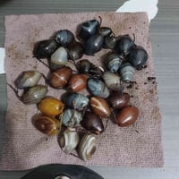 احجار متنوعه • قطع فريده • اسعار بالخاص