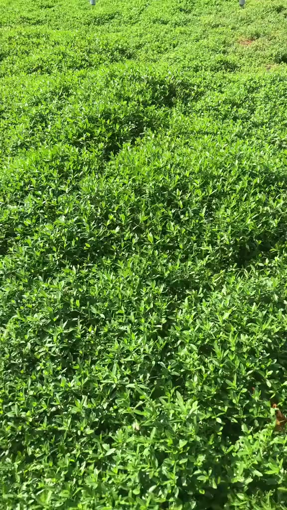 درون  sG901 ثبات اودقه تصوير حلوه للبيع


**إذا كنت صاحب هذا الإعلان وتريد حذفه لأي سبب، رجاءا أرسل رسالة إلى الدعم الفني**