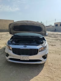 كرنفال سيدونه • ٢٠٢٠ • وارد امريكي