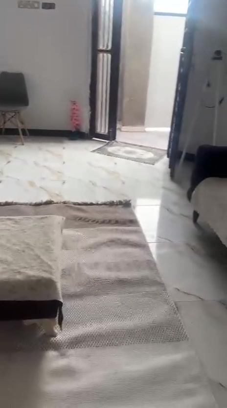 تخم تركي نضيف كلش 400


**إذا كنت صاحب هذا الإعلان وتريد حذفه لأي سبب، رجاءا أرسل رسالة إلى الدعم الفني**