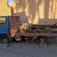 ‭٠٧٨٣ ٥٥٧ ٠٦٠٨‬