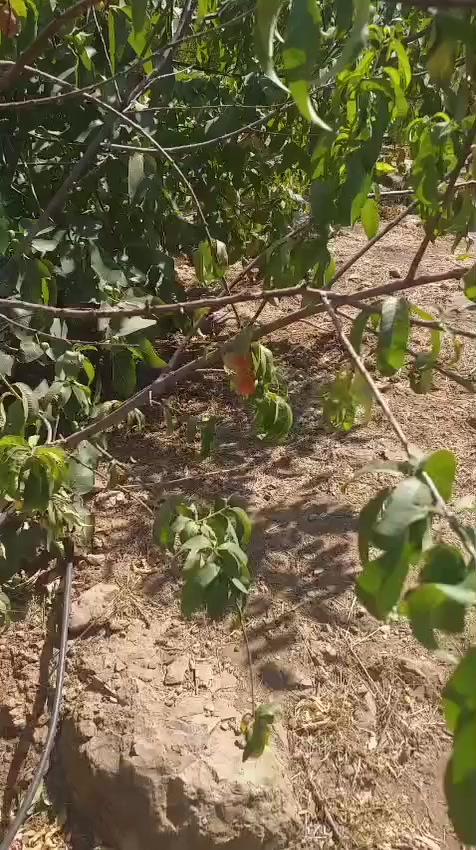 السلام عليكم ورحمة الله وبركاته
بيت مؤثث للبيع يباع مع الأثاث مساحة البناء 200م بالإضافة إلى بستان خلفي بمساحة 500م في مركز مدينة شقلاوه منطقة سفين وعلى سفح جبل سفين وبسعر 36.500 $3شدات و65ورقه وقابل للتفاوض الدار رقم بلدية فاتورة الماء والكهرباء بأسم صاحب البيت


**إذا كنت صاحب هذا الإعلان وتريد حذفه لأي سبب، رجاءا أرسل رسالة إلى الدعم الفني**