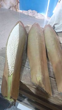 طلع غنامي الاصلي لبيع لتواصل واستاب 07718278819