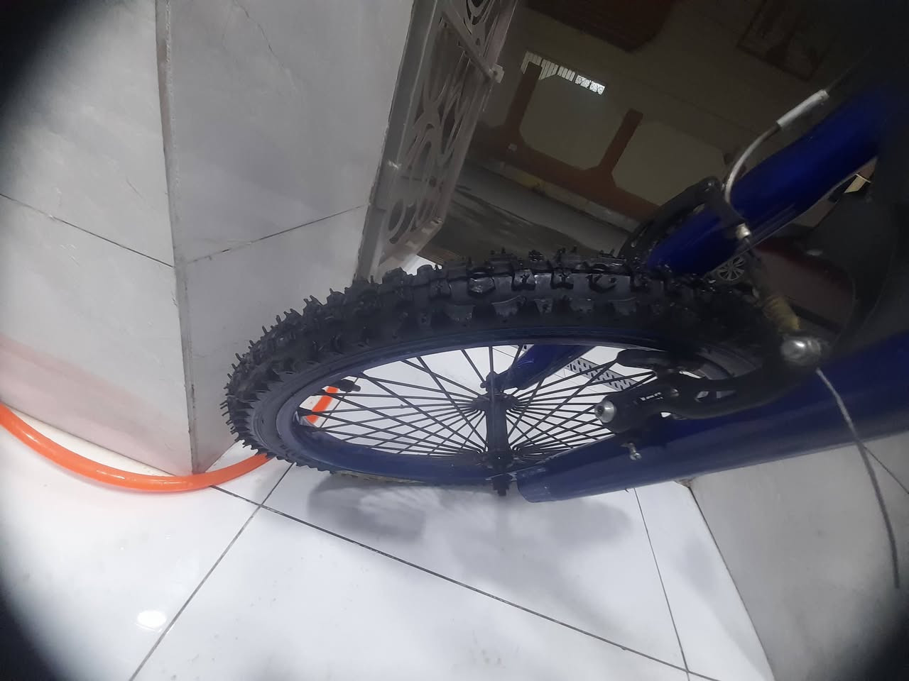 السلام عليكم 
متاح باسكل فينتو حجم ٢٠ نظيفة كلش تايرات جداد ما ماشيات السعر ٥٠ الف 
ونوعية أوربي رياضي حجم ١٦ نظيف كلش اي نقص مابي سعر ٤٠ الف وباسكل حجم ١٢ نوعية أوربي تايرات الأصلية سعر ٣٠ الف وباسكل حجم ١٢ السعر ٢٠ الف بعقوبة التحرير 
***********
