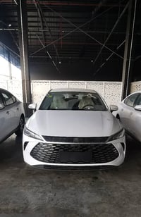 قين بلس • ٢٠٢٥ • السليمانية