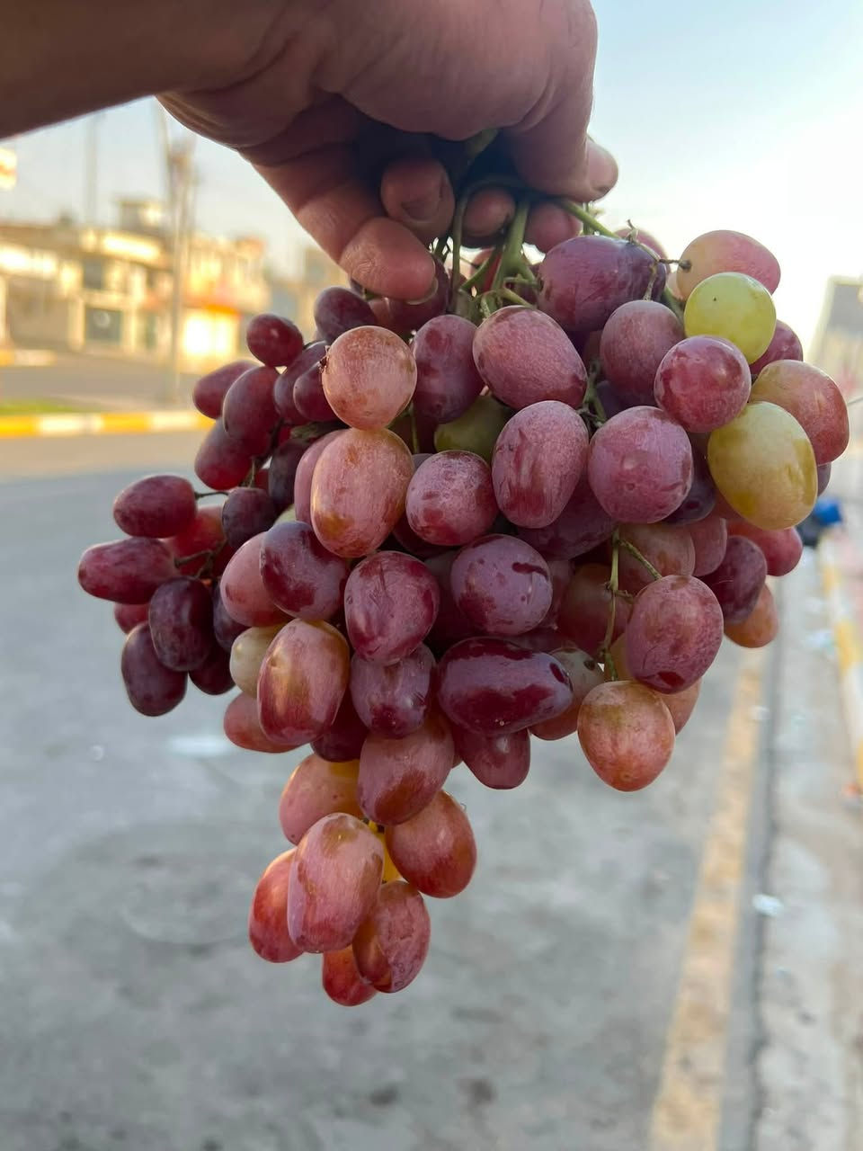 اللهم صل على محمد وال بيت محمد 

مسواك جديد ٧/١٩
🫛🥒🧅🥭🍊🍓💔🍑🫑🥬🥕🍆🍐🍍🍇

متوفر توصيل 🛵
📞 ***********
واتساب ايضاً. 

📌📍دخل المحدود /بجانب محطة الكهرباء
📍📍شارع الخليج /مجاور مطعم عيسى سابقا
