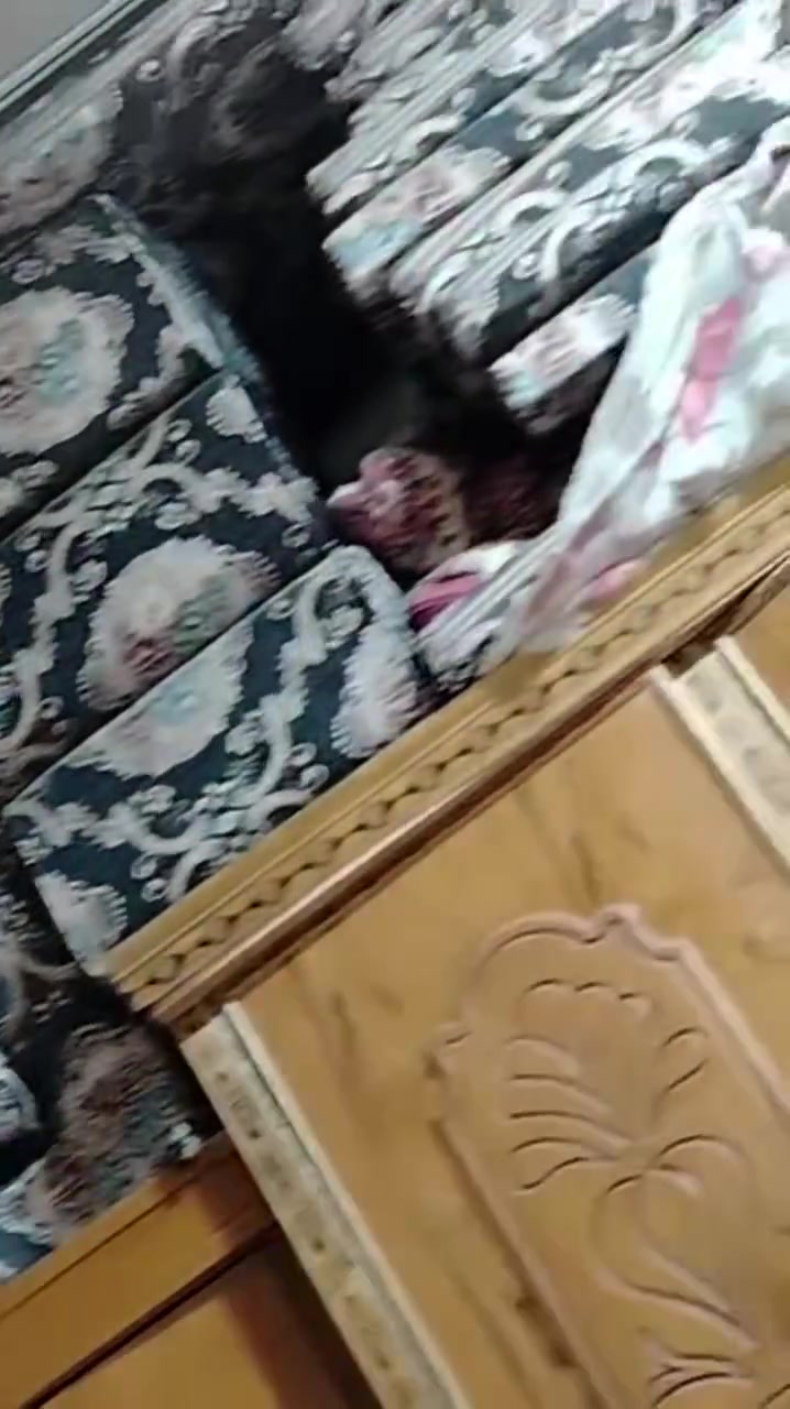 جلسه مقرنصه لبيع السعر ٣٥٠ عشر دواشك ٦ مامفروشه و٤ مستعمل


**إذا كنت صاحب هذا الإعلان وتريد حذفه لأي سبب، رجاءا أرسل رسالة إلى الدعم الفني**