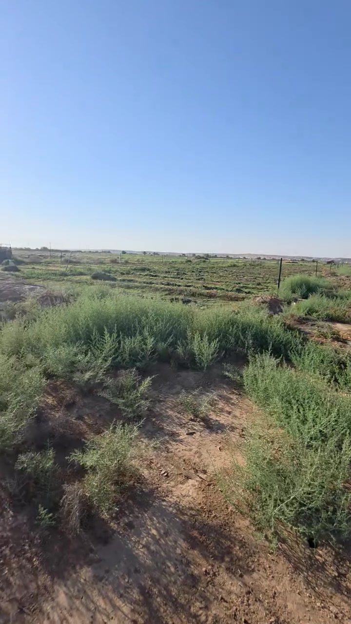 للبيع. قطعة أرض في محافظة الأنبار قضاء القائم ناحية الكرابلة 
# شمال الحولي الجديد وشمال مسبح حميد الجرذي ومدرسة الأصاله 
# غرب الشارع المؤدي إلى الرمانه 
# مساحة القطعة دونم ونصف 
# سعر المتر ٢٠ الف وبي مجال 
# باقي التفاصيل مذكوره با الفيديو 
# للاستفسار اكثر مراجعة مكتب 🏢 المانعي او الاتصال على الأرقام التالية 
***********
***********
***********
***********
