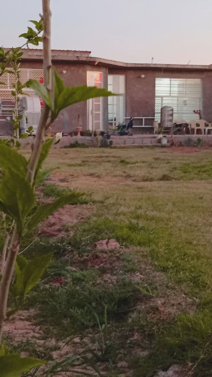 🌳🏡 عمي بهذا الموقع والهدوء وراحة البال... ببلاش! 🏡🌳
فرصة ذهبية لامتلاك أرض بموقع مميز وهادئ جدا قريب من جميع الخدمات، ومناسبة للسكن أو إنشاء مزرعة أحلامك او تصلح موكب او حسينية لخدمة زوار الامام الحسين ( ع ) .

📍 العنوان: بابل – قضاء المحاويل  – طريق حلة بغداد – دخول طريق سدة محاويل - مباشرة على الشارع العام

✅ المساحة الكلية:  دونم وربع بدون المحرم الشارع 
تحتوي الارض على عدد من النخيل المتنوع ( مجهول ٫ مكتوم ٫ خضراوي ٫ زهدي ٫ خستاوي ) 
تحتوي ايضا على عدد من اشجار التين والرمان والتفاح والزيتون ) 
تحتوي على بيت كامل مساحته 480 متر 

يحتوي البيت على 
3 غرف نوم مع حمام لكل غرفة 
هول عدد 2 
مطبخ حار ٫ مطبخ بارد
صحيات عدد 3 
ترك
يحتوي على محل خارجي معزول 
كراج + حديقة عملاقة 

✅ تبعد عن شارع العلم حلة بغداد تقريبا 700 متر 
🚰 ماء إسالة متوفر
⚡ كهرباء متوفرة
🏡 مناطق سكنية قريبة
🌳 مزارع وبساتين مجاورة
🛒 قريبة على كافة الخدمات

🌿 فرصة مناسبة للسكن والاستثمار والاستمتاع بأجواء الهدوء والطبيعة بعيداً عن الزحام.

📞 للاستفسار والاتصال:

***********
