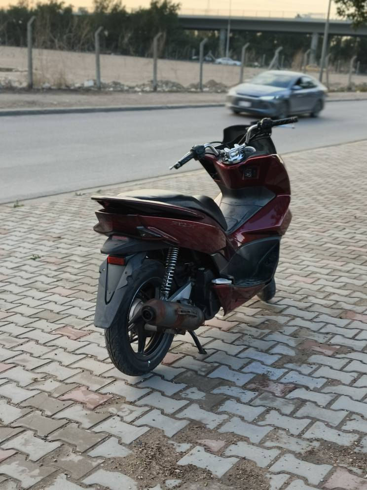 السلام عليكم
دراجه pcx للبيع كفاله عامه ما بيها ولا شخط على وضع البلاد برغي ما نقصها غير قبق الجكمجه و واقيه مال صالنصه عداهن الدراجه برغي ما نقصها كلها شغاله حساسات وكهربائيات نكره سلف رايدها ب 12 ورقه وبيها مجال مال جيه...... 
مكاني بالغزاليه
رقمي  *********** بغداد, العراق
