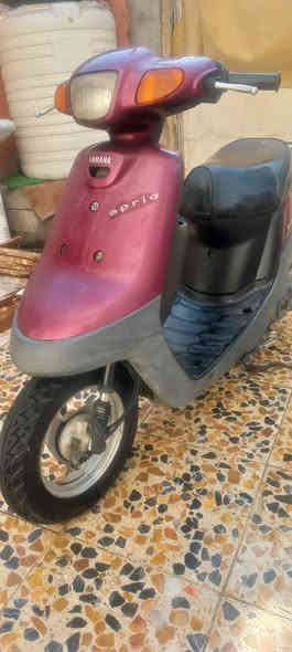 دراجه  منغولي لبيع نظيفه باله ماناقصها شي السعر 375بيها مجال البصره كرمه علي ***********
