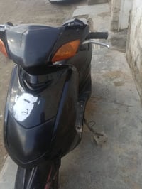 سكنس نثيه • ١٤٠ • مراوس جبلي