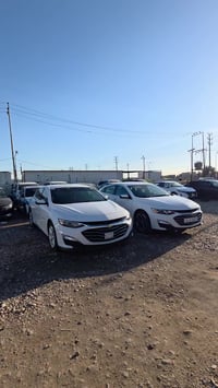 وارد امريكي • ٢٠٢٤ • الزبير