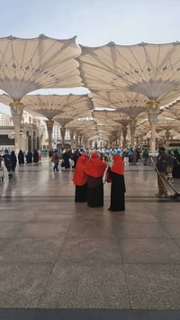 #بسم_الله_الرحمن_الرحيم  ____ 🕋واتموا الحج والعمرة لله  #عمرة_شهر_شوال...