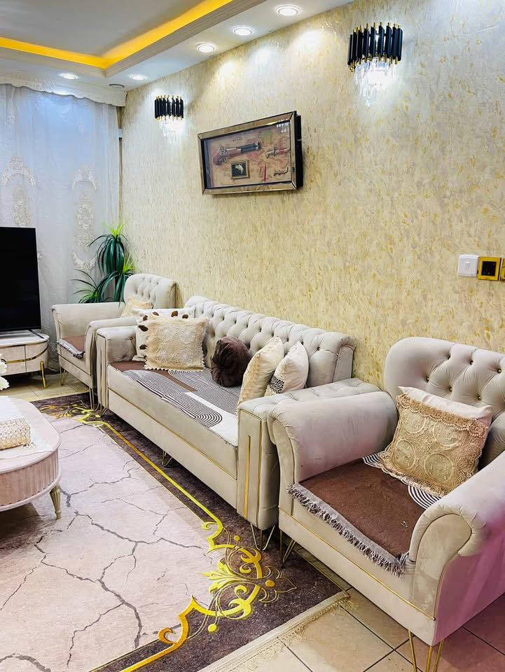 تخم عراقي تفصال 10 مقاعد سعر550


**إذا كنت صاحب هذا الإعلان وتريد حذفه لأي سبب، رجاءا أرسل رسالة إلى الدعم الفني**