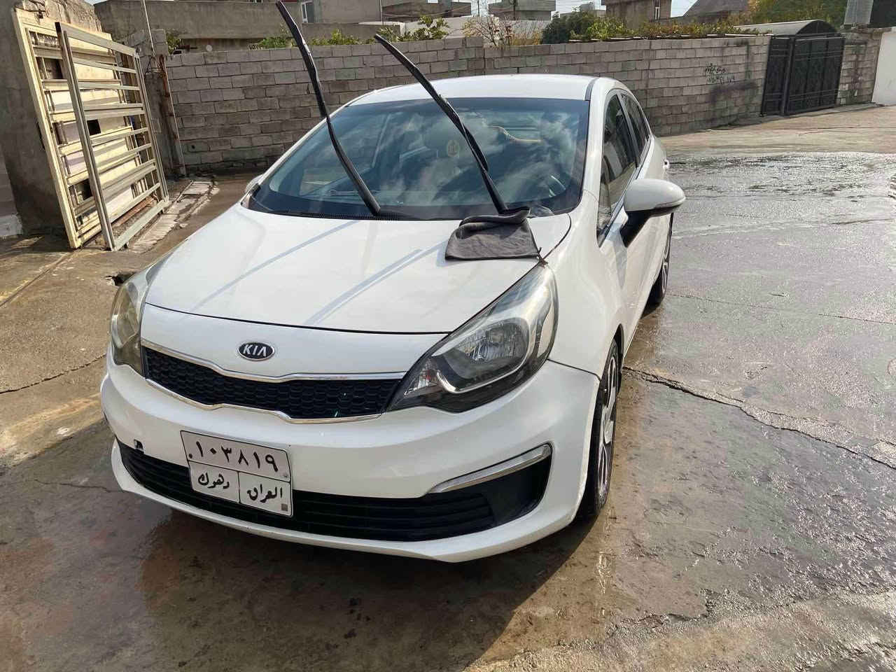 كيا ريو موديل ٢٠١٦ سه ياره كه نمونه يه له جوانى پاكى بى مه سروف بي ته قه و  ره قه ناو جلده ناو قه يسى فوله به س سلايت نيه ٤ جام ئوتو  بي بوياغ به س ٢ پارچه ى بيلاد گوراوه ايرباگ سوكان ده ژبول ته قيوه ماوه ى رويشتن ١٢٠ هزار كيلومتر رويشتوه سه نه وى به سه ر چوه  ژ.م*********** أربيل, العراق
