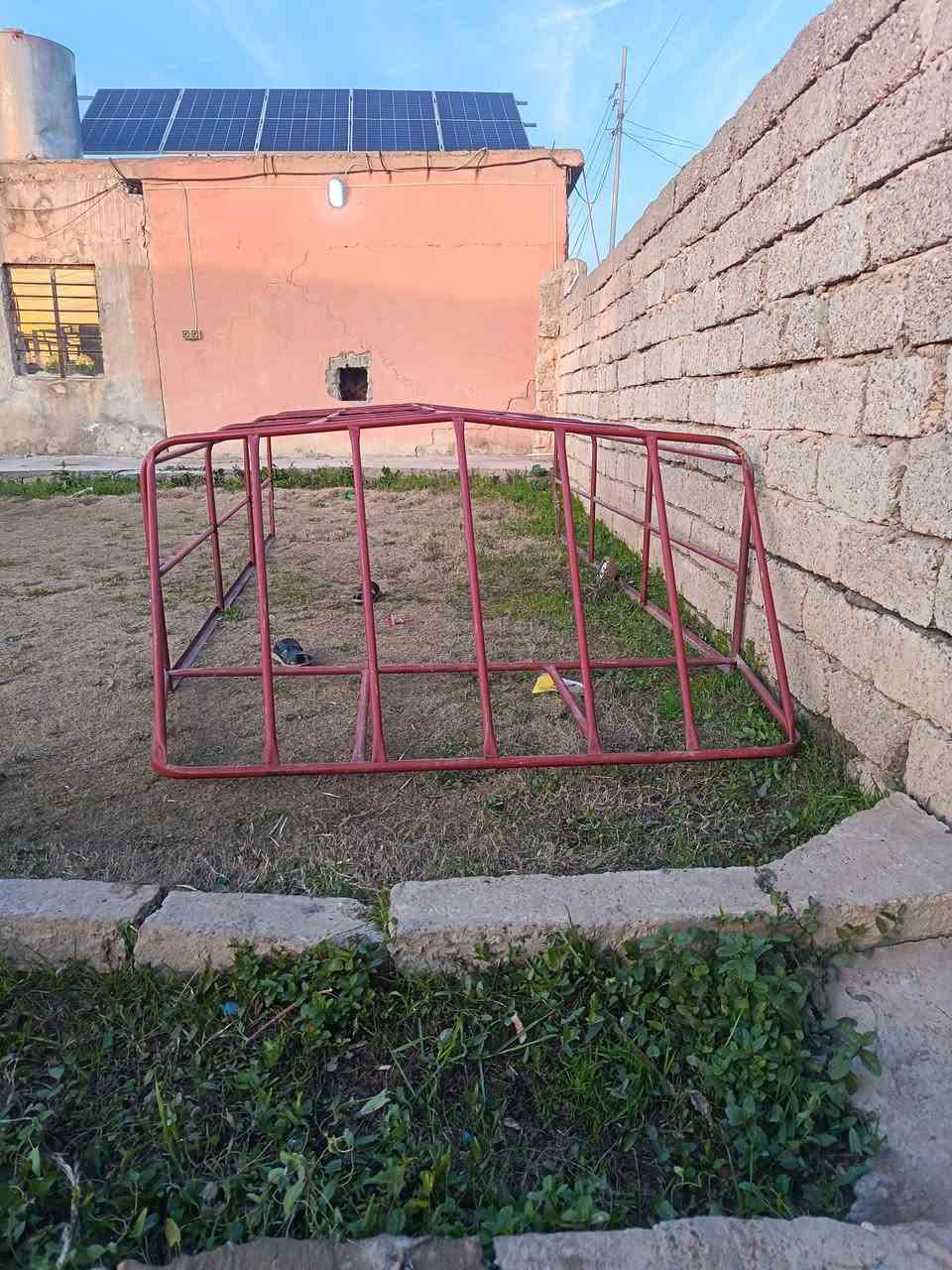 تعليه محجل مع جدرالسعر 275 الف ***********
