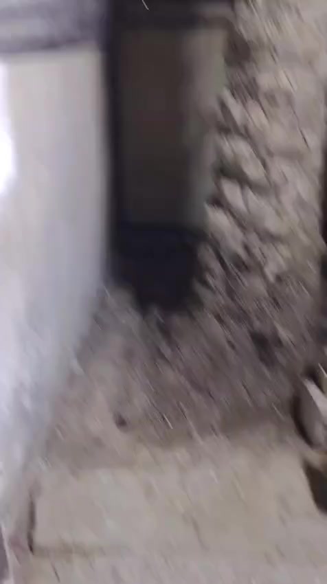 بغداد الشعب طابق ارضي باب للشارع عائله  صغيره عائلة جبيره ليخابرني 
*********** متواجد وتساب فقط
