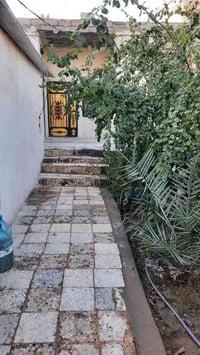 مشتمل • حديقة • خط امبيرية