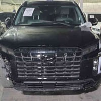 باليسايد • ٢٠٢٥ • بدون كمرك