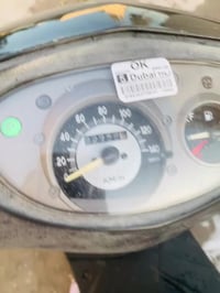 ماكس ثعلب • نضيفه • مراوس