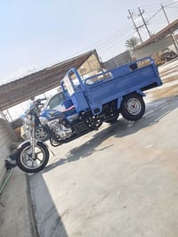 ستوته • نوار الباشا • ٢٠٢٣