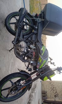 شاينك • البطح • ٢٠٢٤