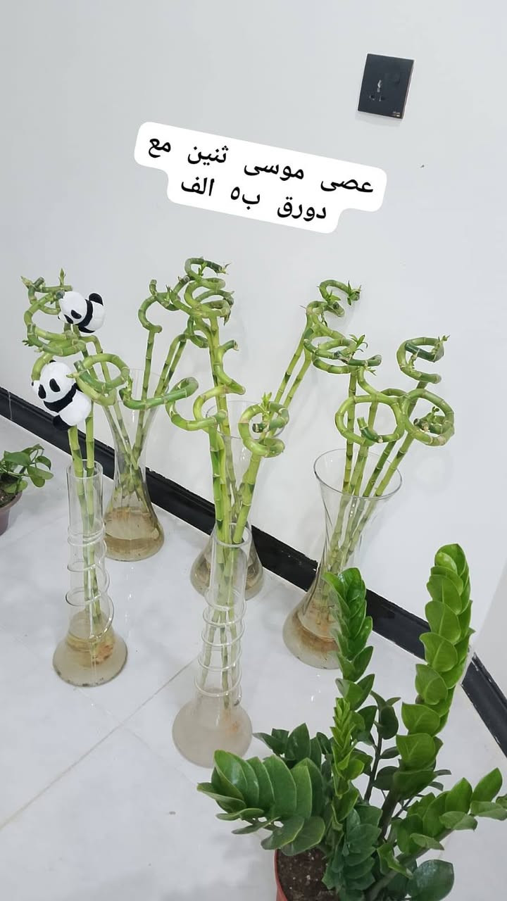 عروض خاصه توصيل داخل كركوك


**إذا كنت صاحب هذا الإعلان وتريد حذفه لأي سبب، رجاءا أرسل رسالة إلى الدعم الفني**