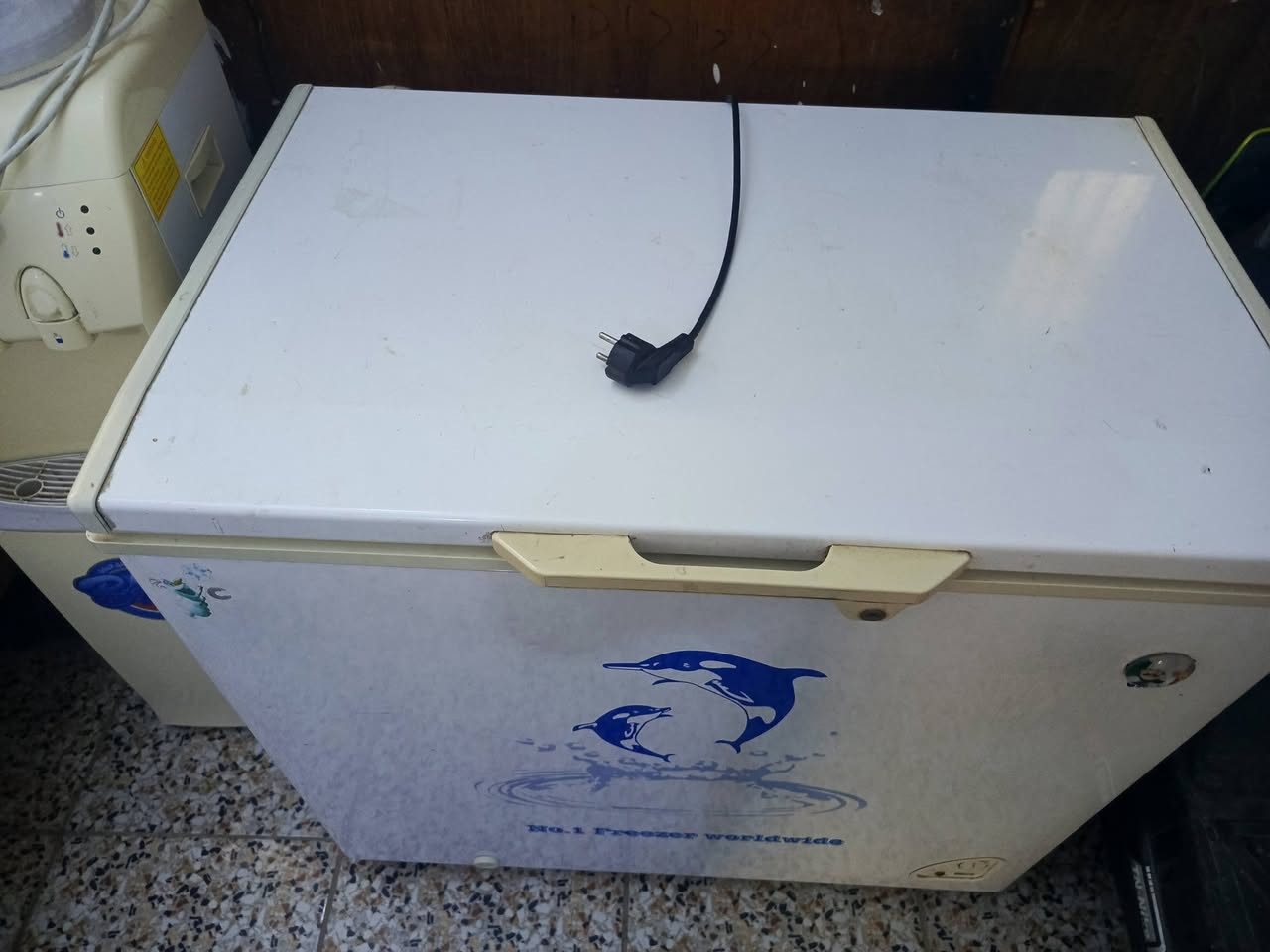 السلام عليكم
مجمده للبيع ام الدولفين بيضه حجم وسط 

السعر 175 وبيها مجال 

نضيف اخو الجديد 

للتواصل واتساب فقط ***********
