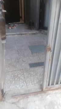 حي نصر • ١٠٠م • جديد