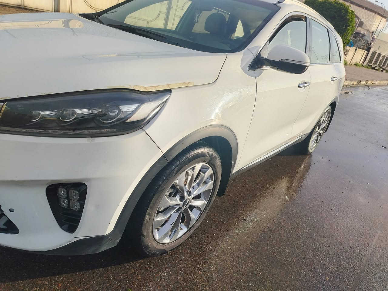 كيا سورنتو 2019خليجيه 6سلندر مكفوله من الصبغ مكينه مامفتوحه 7راكب بصمه كشنين كهرباء باب كهرباء تبريد 3قطع بردات بيبان بيه بعض الملاحضات موضحه بالفيديو تخم تاير جديد 215ورقه وبيه مجال لشراي***********بغداد
