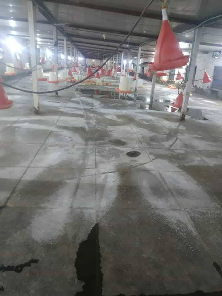 مزرعه3دوانم مع بيت بناء حديث وحقل دواجن طابو زراعي سند 25مزرعه تحتوي ع اكثر من ٥٠ نخله واشجار تين الحقل جاهز للعمل مجهز بكافه المعدات والمولدات كافة الخدمات ماء، وكهرباء العمادية طريق حلة/قاسم
#وتوجد لدينا عدة دوانم ومزارع وعروض ومقاطعات عليكم متابعة الصفحة لطفا أو الاتصال بنا ويظهر لكم كل ما هو جديد لدينا مع تقدير
***********
