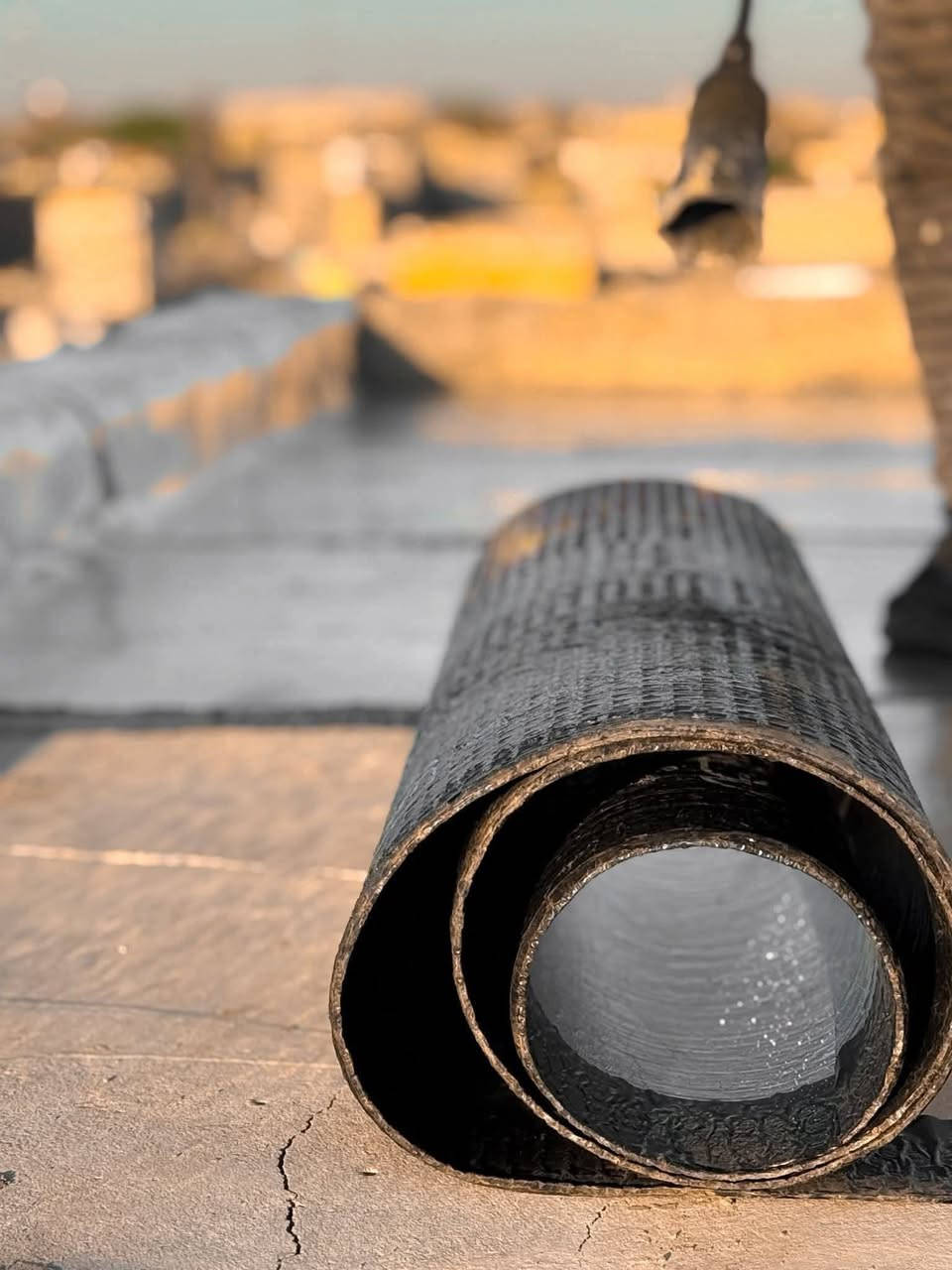 مـטּ رخصت المسئول
🙏#شغلنا مخافت الله ☀️🌚#كل شيء بالأمل إلا الرزق بالعمل (اخوكم ابوحسين )
#اكمل قرأه المنشور فائده لك 
***********
***********
( ضمان 10سنوات.؟)
*نعمل بالماده الايراني والانكليزي. (سعر المتر المربع ب 5000الاف كرسته وعمل) 
#هاااام هاااام عن وصول ماده سمك 6ملم الصناعه الايرانيه بأسعار مناسبه ومغريه🤑🤑
يوجد تخفيظات لاصحاب المساحات الكبيره 🔥🔥🔥
#تنويه#اهلنا وناسنه الاعزاء حاب اوضحلكم عن شغله الايزوكام والاسعار الي جاي تشوفنها بعض البيجات والمنشورات اخوانه والله العظيم كلشي بالسوك موجود وكلمن وسعره فلا اتغرك اكو اسعار مناسبه وتشتغل سطحك مثل ما اكو بالسوك نوعيات الكلشي افترض نفسك رايح تشتري سيراميك البيتك تلكه اكثر من نوعيه وكلمن وسعرها 
فلا ايغرك السعر وتخسر سطحك علمود شي بسيط وانته مشتغل ومكلف نفسك لا ترؤح للشي الرخيص 🌝☀️ احنه اسعارنه ماتختلف عن باقي الشركات بس كلشي وسعره فلا تعتقد اكو نوعيه ونوعيه كلها نفس السعر لا اخويه الغالي كلشي بسعر وبنوعيته 
#تنويه اخوانه اهلنا الايزوكام يعتمد 60بالميه علايدي العامله 
الله شاهد اهم شي الشغل الزين اكو ناس بس مجرد تأخذ فلؤس وترؤح وانته ماتعرف شنو الي سوه الحرك 🔥والتكحيل يستغرق وقت لاكن شغلنا مخافت الله  بالعمل :وشكرا
:احمي سطحك من تسرب المياه والرطوبه 💦💦وحراره الشمس((تتوفر كافه الالؤان ))
مكونات الماده الاصليه:.
١.البوليستر
٢.القماش الحراري
٣.البيوتمين
٤.السليفون
٥.الالياف الحراريه 
نعمل في جميع محافظات عراقنه الحبيب للتواصل واتساب او مازنجر او ⌯ ؏ـلىٰ رقم الهاتف
***********
***********
