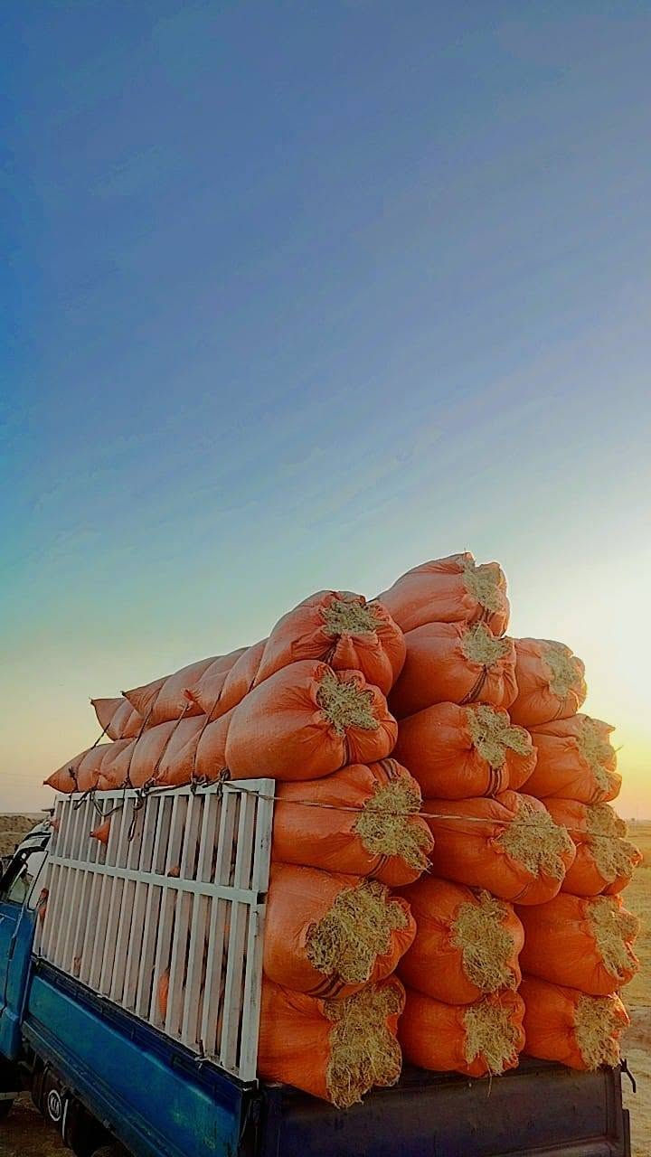 تبن البيع واصل البيت مكاني الحجاج الكبسه 150وبيه مجال الستفسار علئ هاذا الرقم ***********
