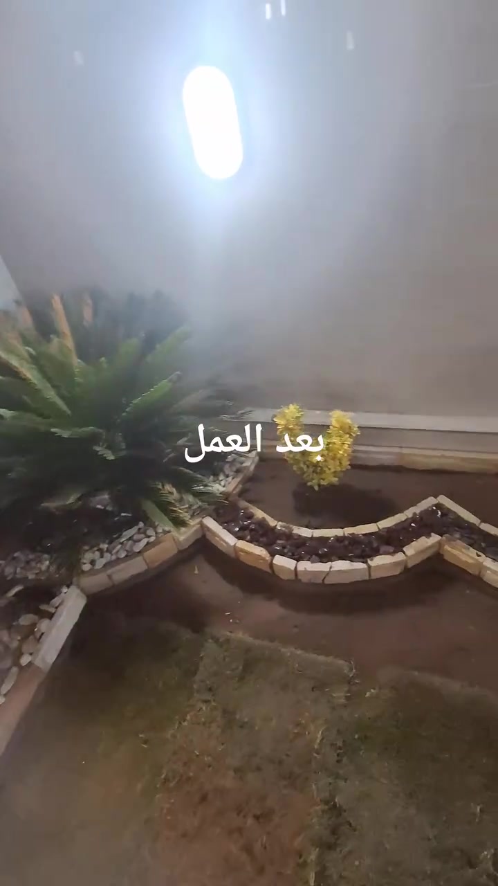 تنفيذ حديقة بمنطقة الغزالية بمساحة 6.5×7.5 متر
مستعدون لتصميم وتنفيذ الحدائق ،الشلالات ،النافورات 
معالجة الثيل التالف ،الاشجار والنخيل
 تبديل ومعالجة التربة الزراعية 
للتواصل واتساب او اتصال 
***********
***********
