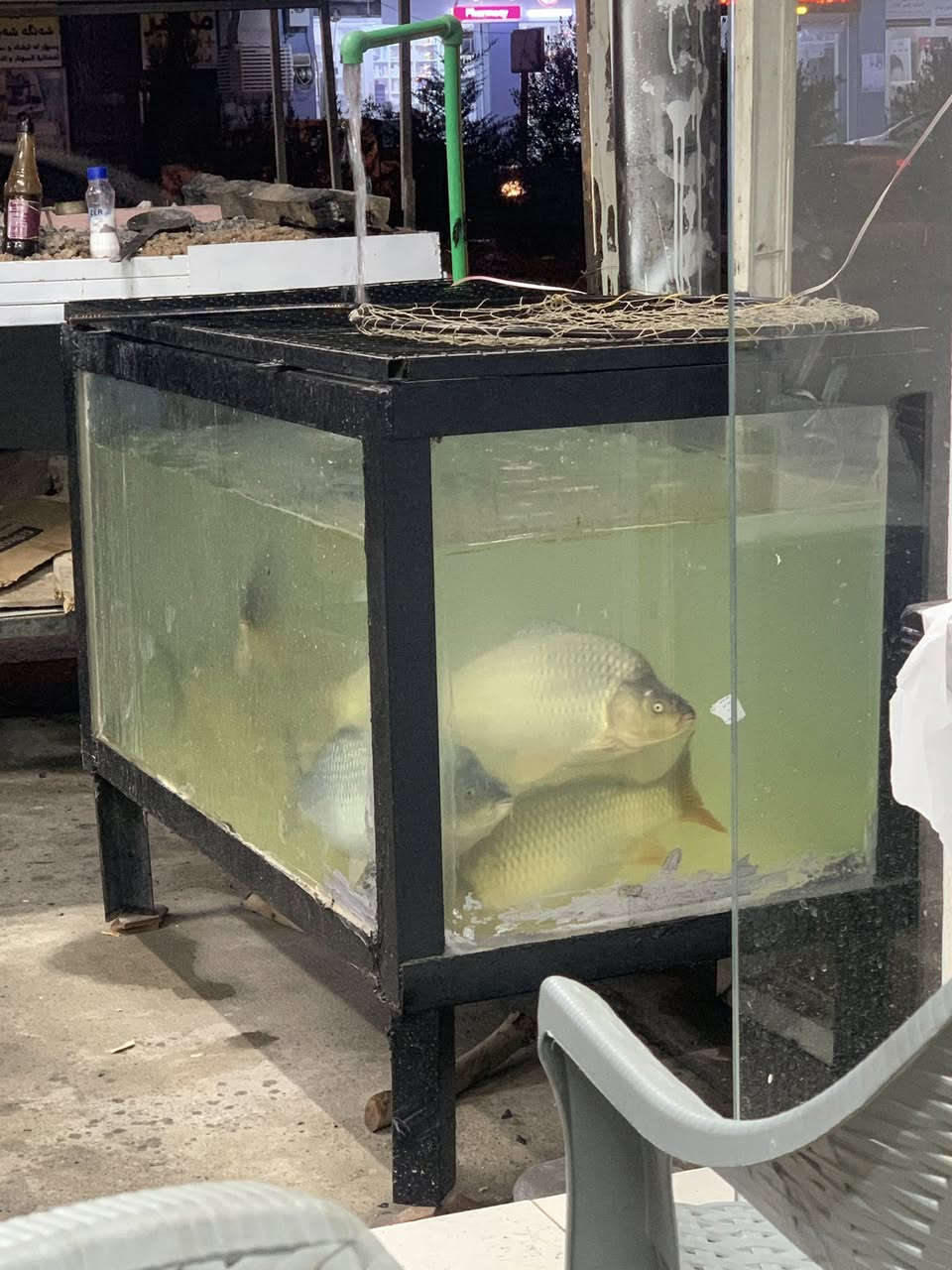 شەوايەى ماسى برژاندن و حەوزى ماســـى بۆ فرۆشتن بە نرخێكى گونجاو شوێن ھەولێر


**إذا كنت صاحب هذا الإعلان وتريد حذفه لأي سبب، رجاءا أرسل رسالة إلى الدعم الفني**