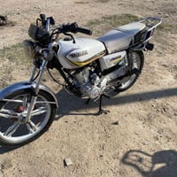 بغداد • دراجة 2024 • مكفولة