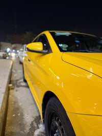 النترا ٢٠٢٠ • رقم بصره • ميه مطر