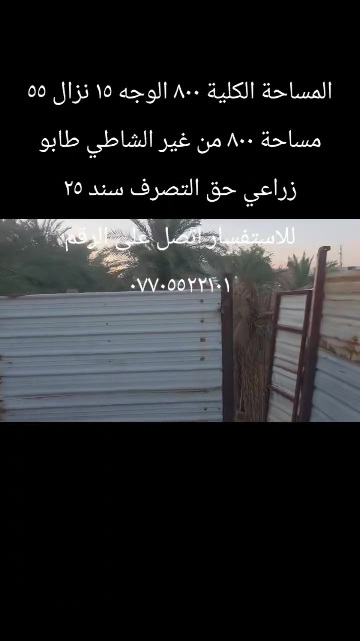 الماجدية قرب دكتورة تهاني المساحة الكلية ٩٥٠ الطابو ٨٠٠ طابو زراعي حق التصرف سند ٢٥ يدار في المحكمة بي بيت مساحة ١٢٠ للاستفسار اتصل على الرقم ***********
