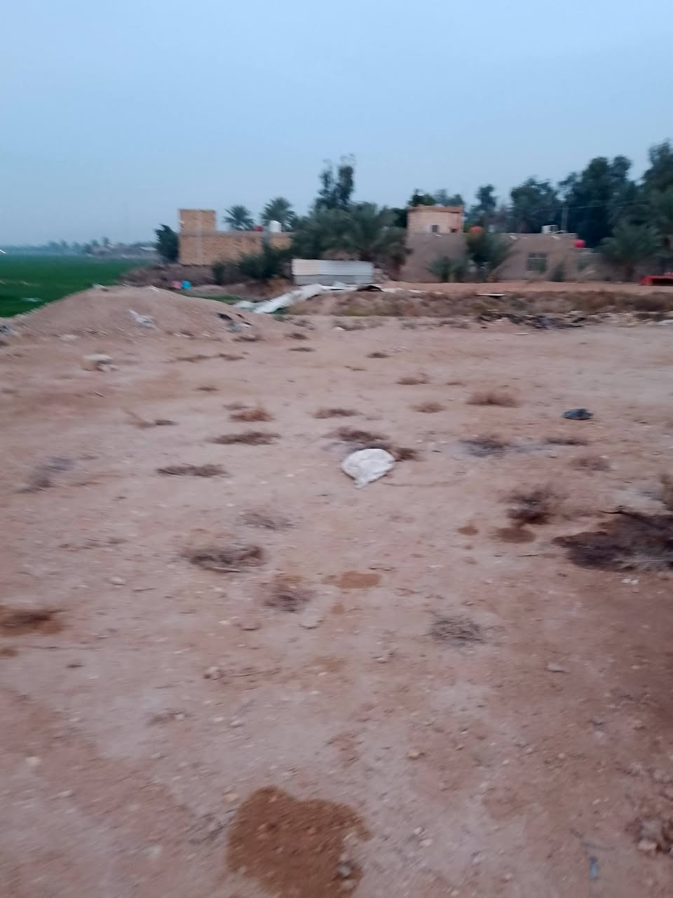 سلام عليكم.....
ارض زراعية للبيع المساحه 6 آلة ربع  بيها عرصة مدفونه دونم المكان   النجف ناحية الحرية للاستفسار الاتصال 
***********
