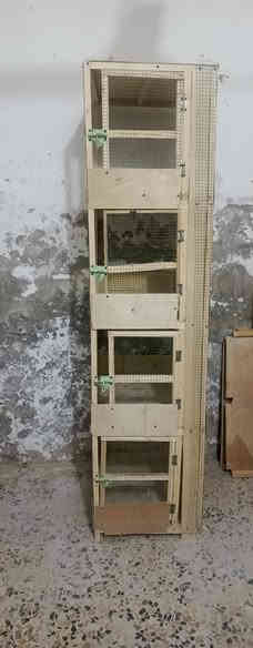 قفص للبيع ارتفاع مترتين اربع خانات كل خانه ارتفاعها 50 والوجه 50 والنزال 60 جديده صير مال دجاج ومال حمام سعره 40 مكاني حي الجهاد ***********
