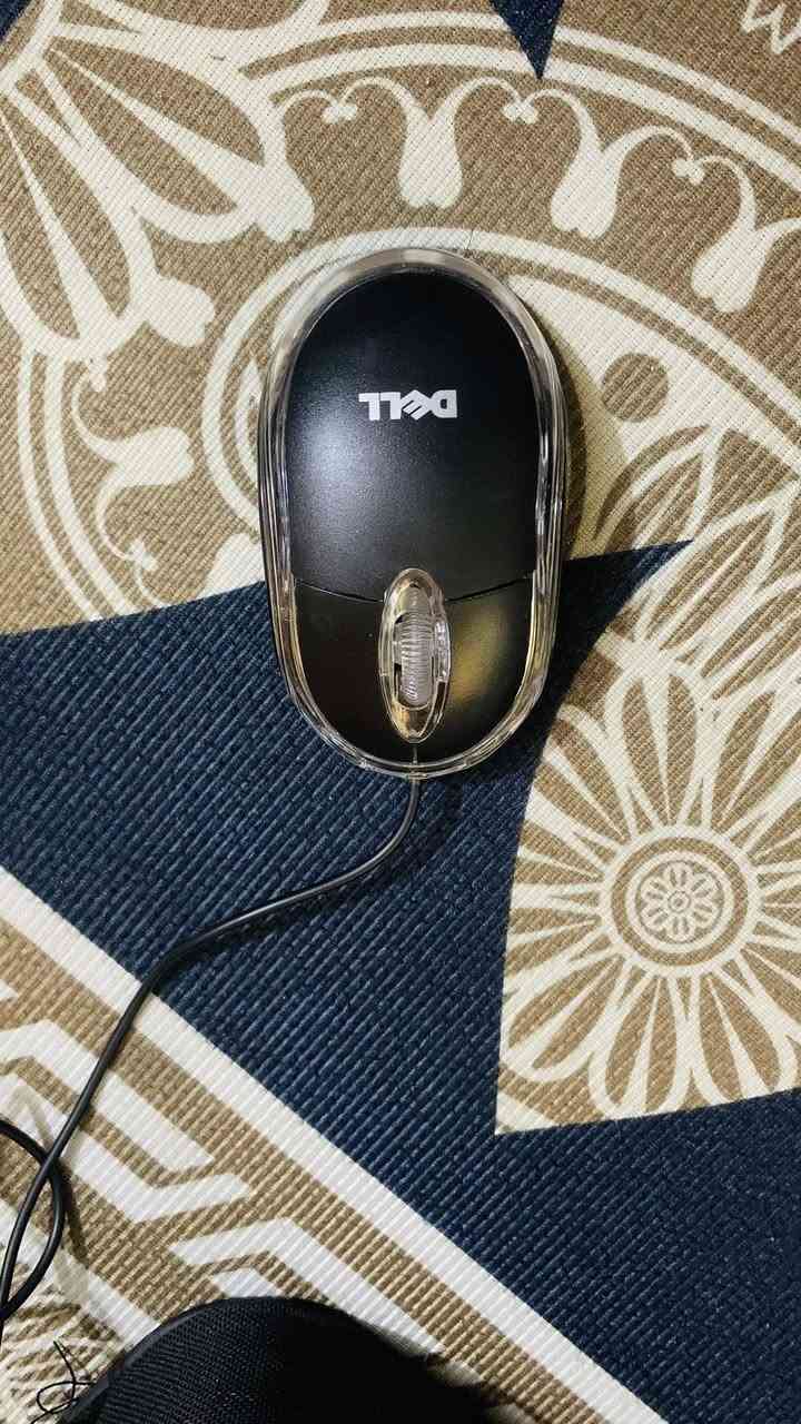 لابتوب دل dell
الجيل الثامن.
المعالج كور اي 5  الجيل 8
الهارد  256     ssd  
كارت الشاشة  4  شير 
حجم الشاشة  14 
الشاحنة اصلية 
يوجد منفذ تايب سي للشحن ولنقل البيانات  
نظام التشغيل ويندوز  10 عربي انكليزي 
 الملحقات شاحنة وجنطة 
السعر   225 وبي مجال 
***********
